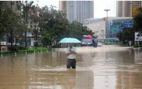 �������������